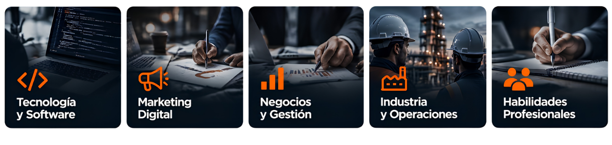 Áreas de capacitación de Potenzia 24 Academy